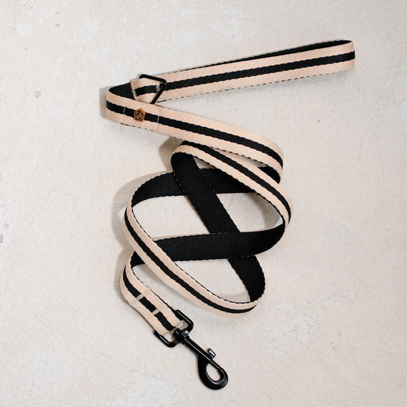 striped dog leash