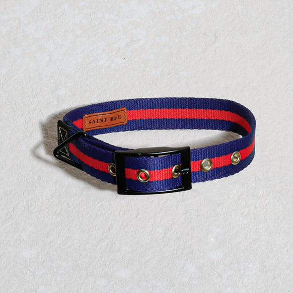 luxury dog collar with black buckle and ring