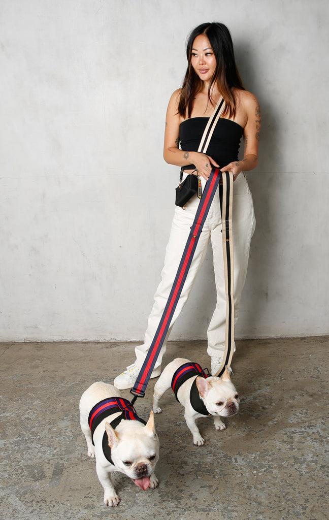 girl with 2 french bulldogs wearing city dog harness and dog leash