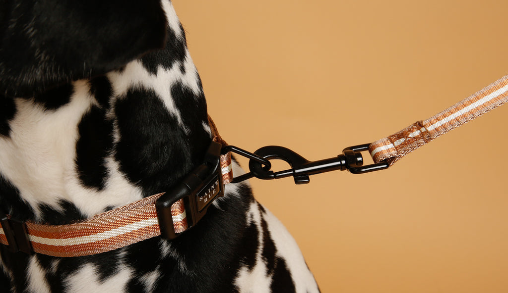 Le Luxe Dog Collar