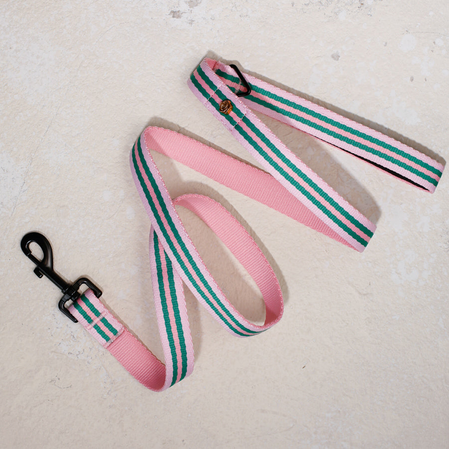 pink green dog leash with luxury details
