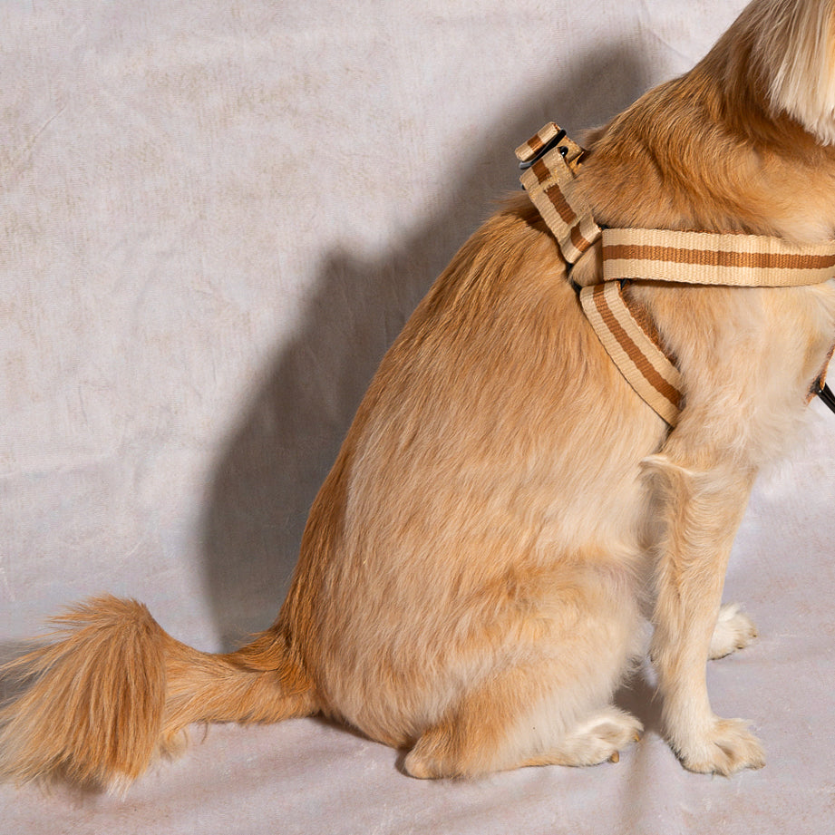 Le Classic Dog Harness