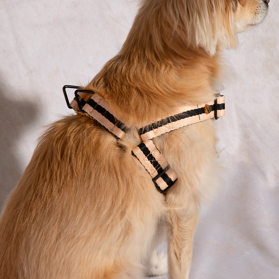 Le Classic Dog Harness | SAINT RUE
