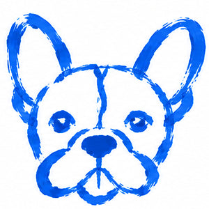 Size M dog, for example a Frenchie