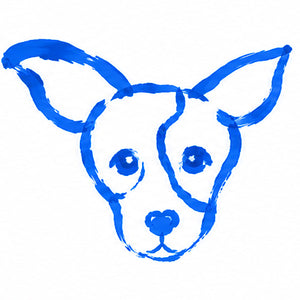 Size S dog, for example a Chihuahua