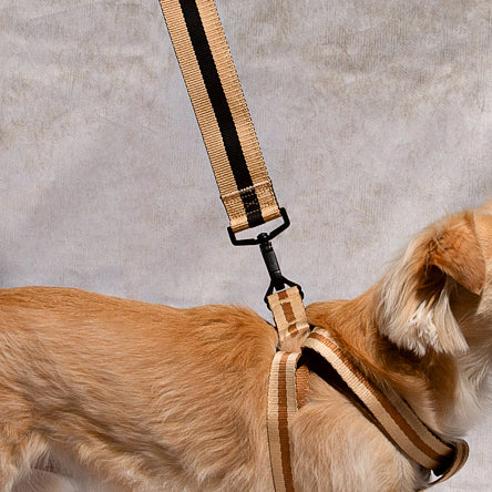 The City Dog Leash Padded