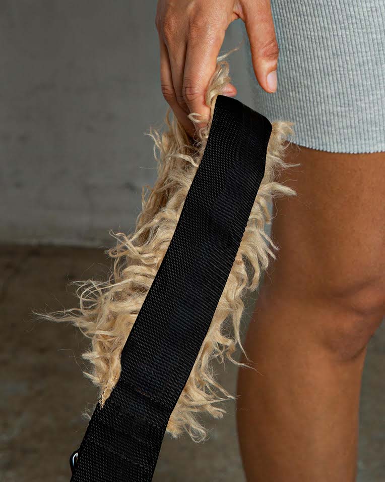 black dog leash fur handle close up