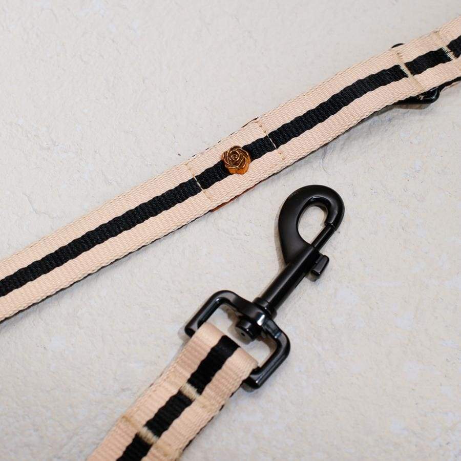 dog leash with durable matte black hook