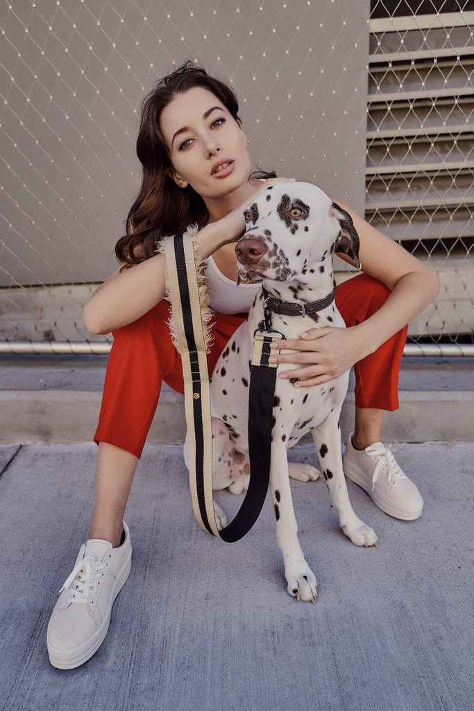 chic dog leashes model with Dalmatian 