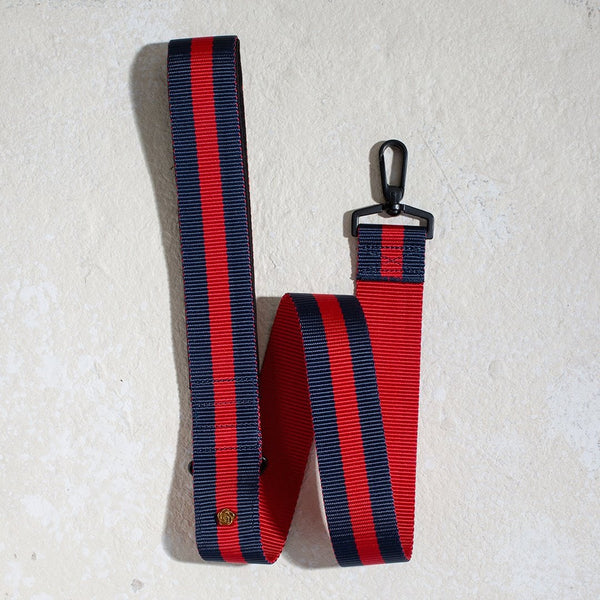 chic striped dog leash with padded handle