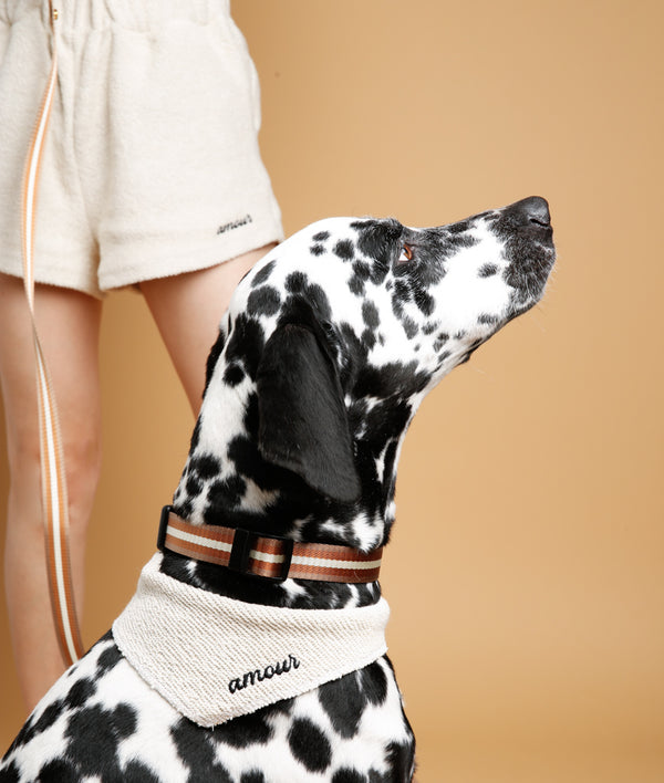 Amour Fleece Dog Bandana
