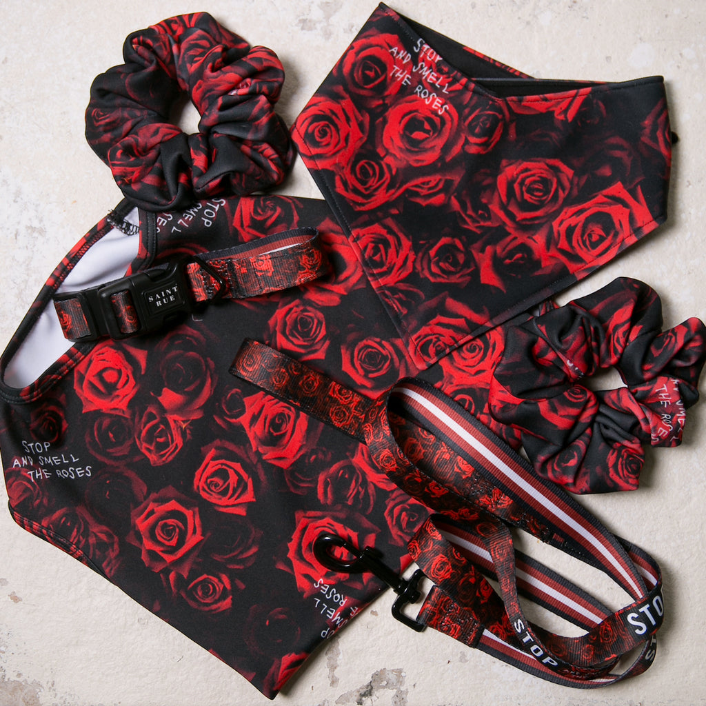 matching dog and human accessories of red rose styles