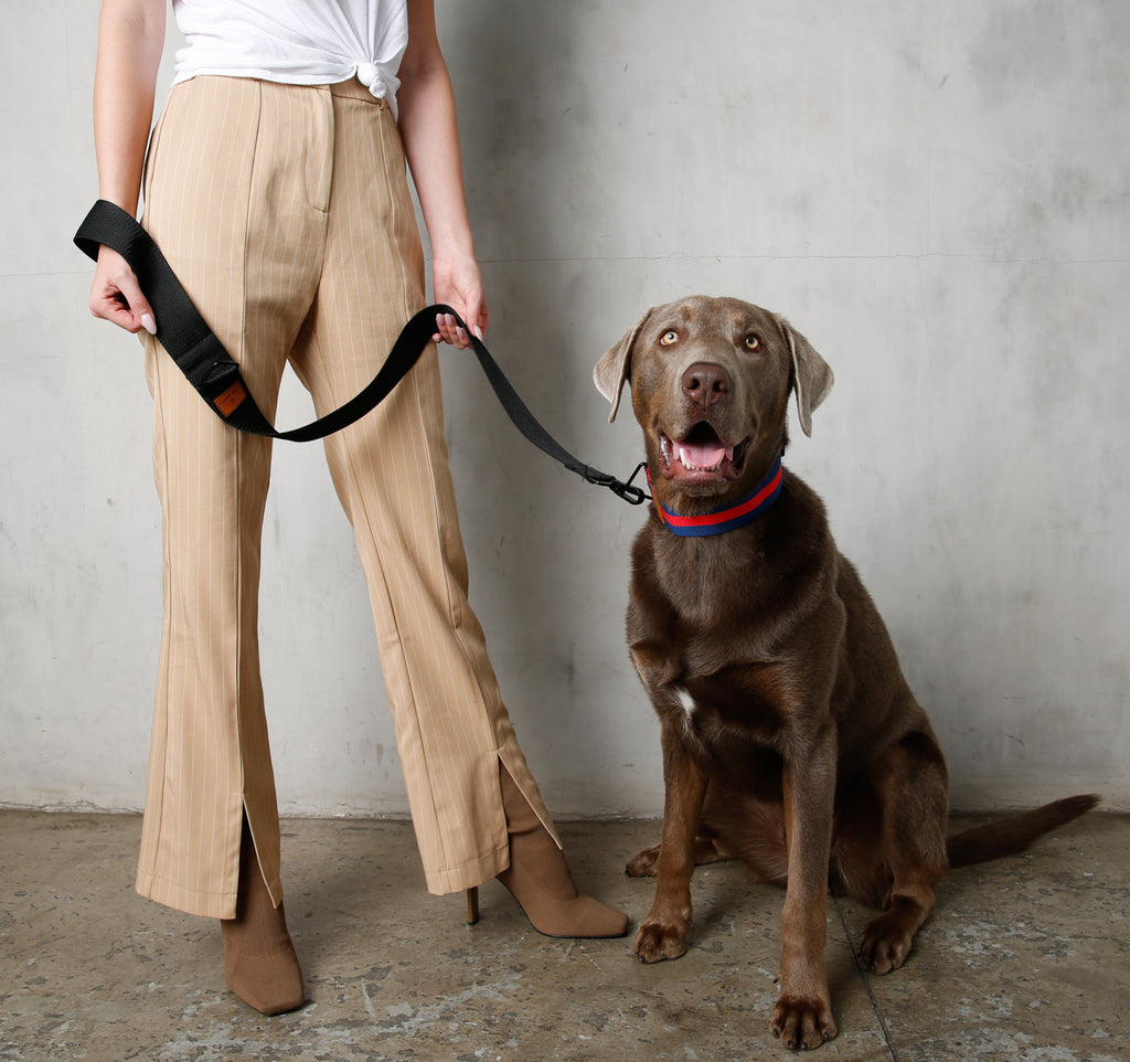 girl with big dog wearing thick dog collar and black dog leash