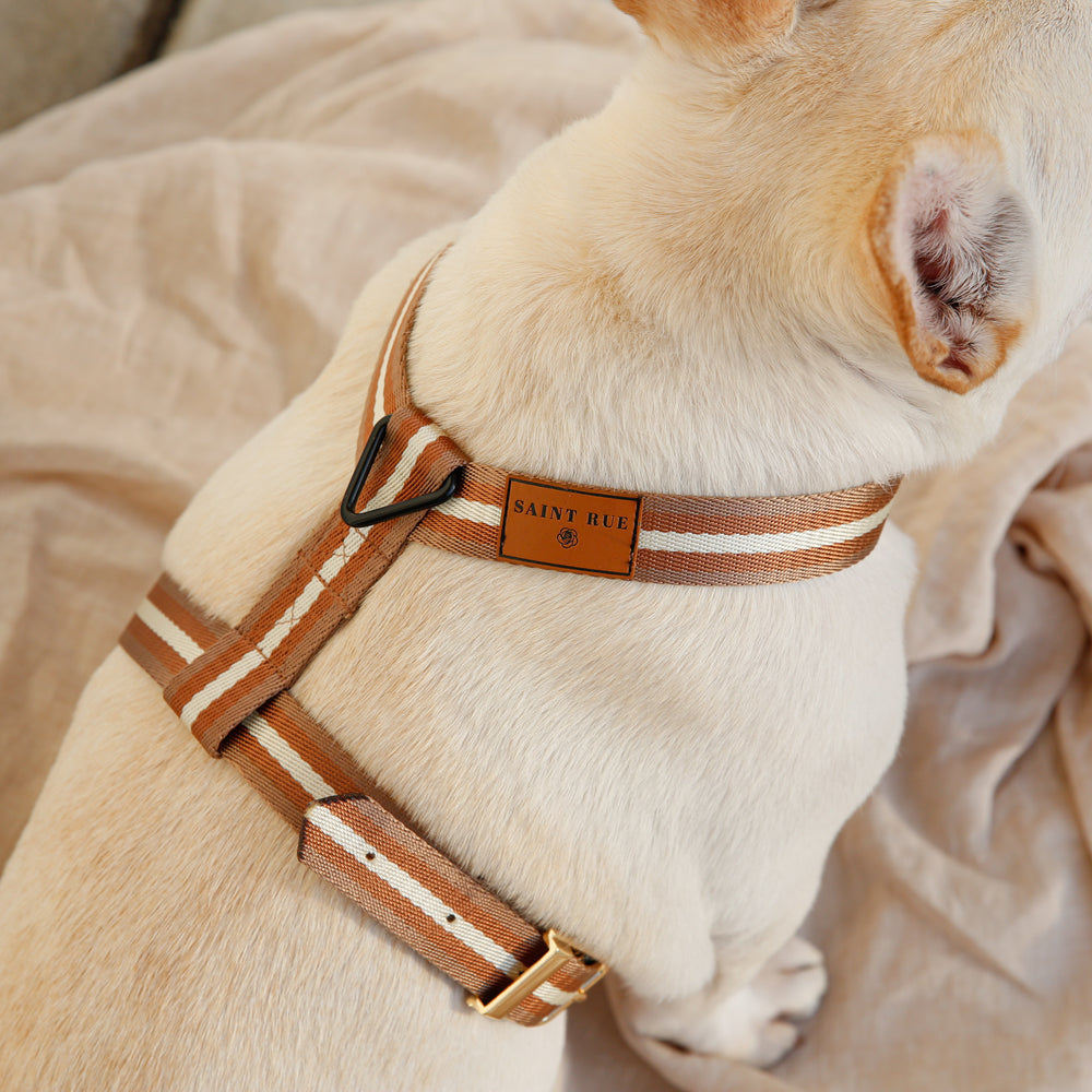Le Classic Harness - Dog Accessories, Saint Rue