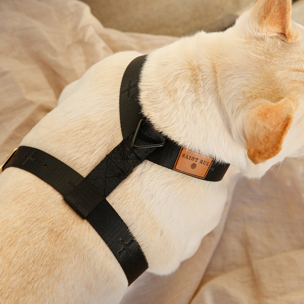 Le Luxe Dog Harness