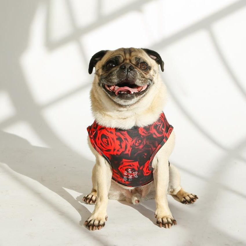 pug wearing red rose dog tank