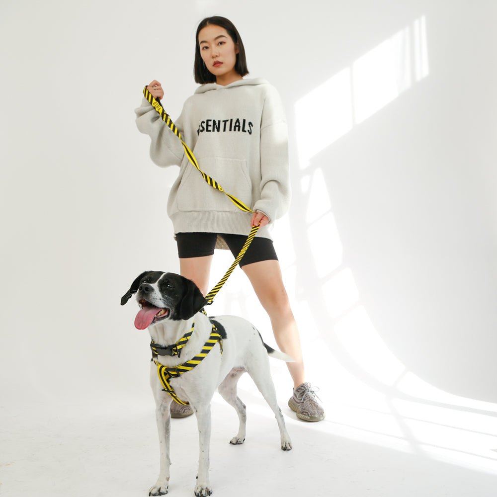 yellow black dog harness and leash with model
