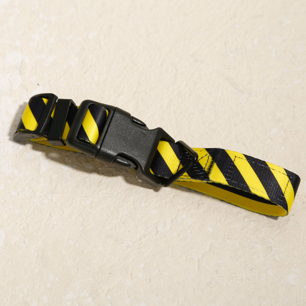 yellow black yield dog collar