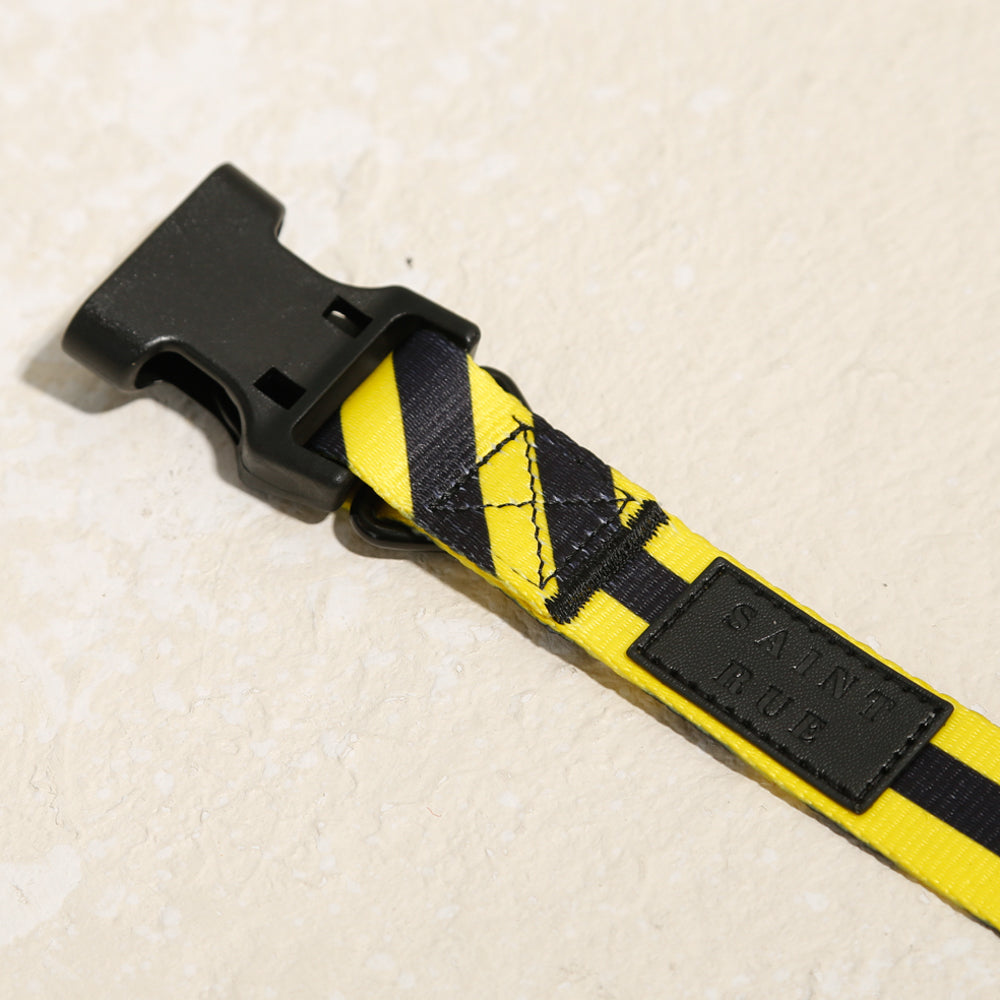 yellow black yield dog collar