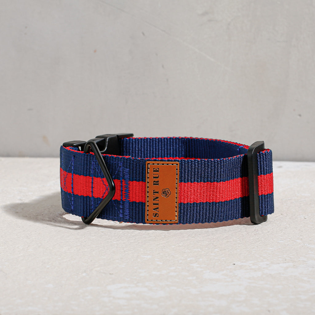 red blue wide dog collar