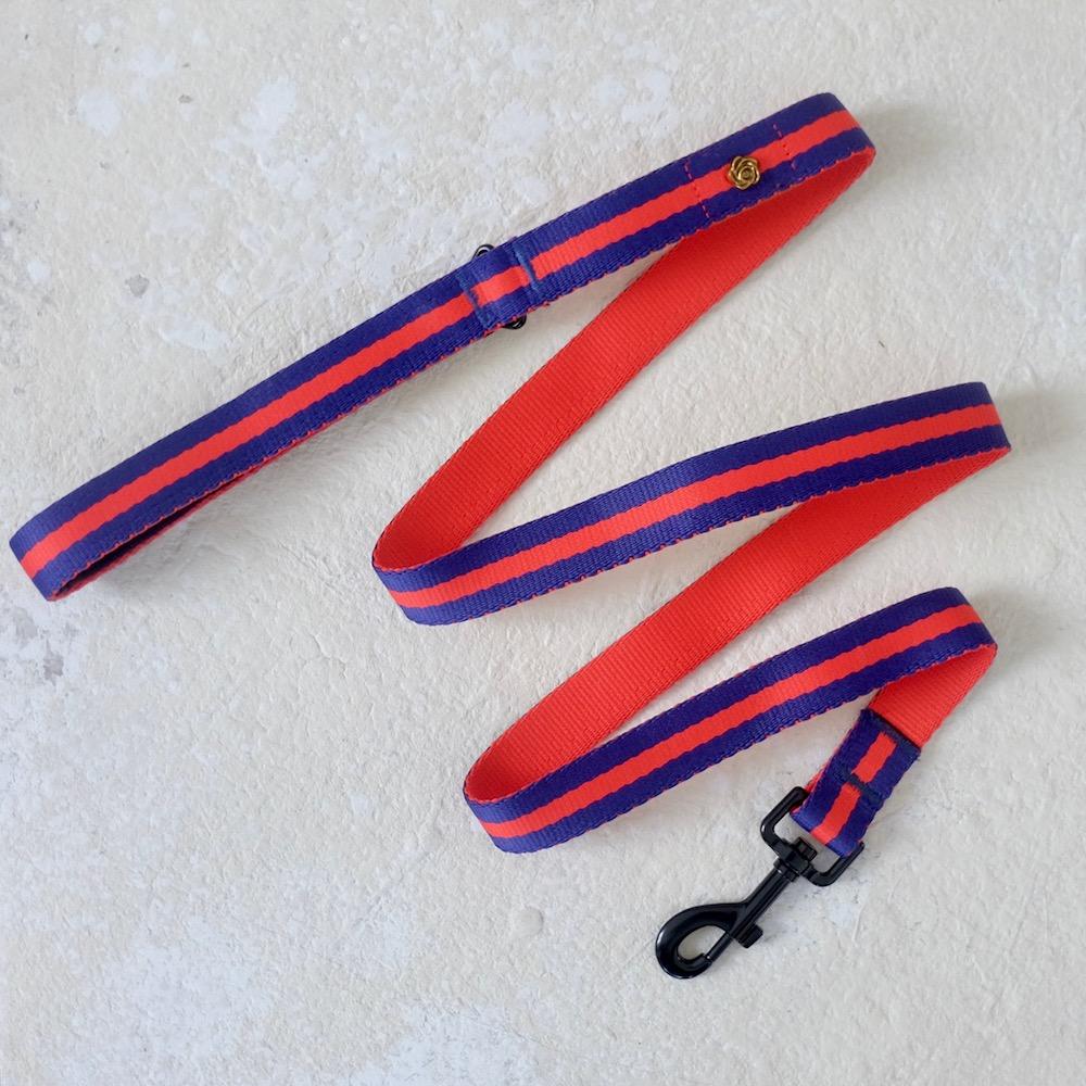 red blue striped dog leash